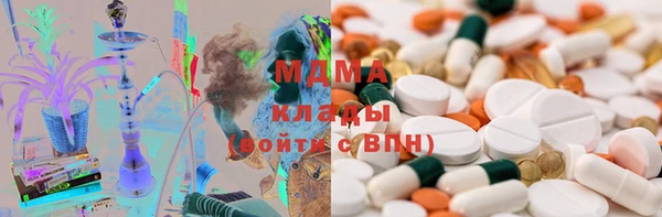 индика Новодвинск