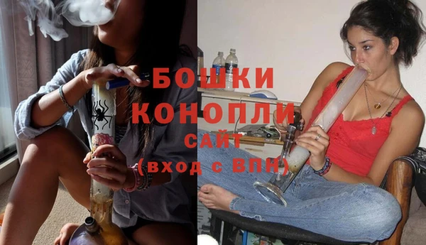 марки lsd Новозыбков