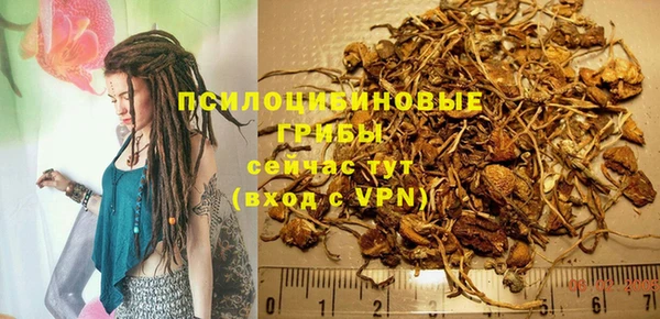 амф Абинск