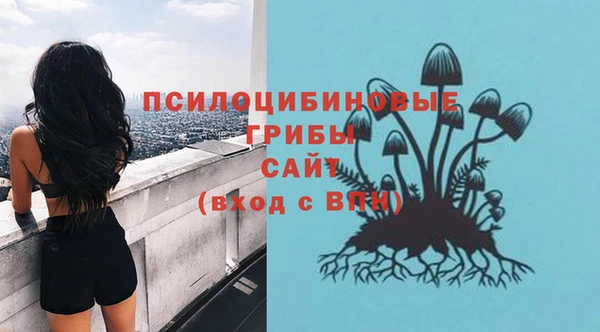 амф Абинск