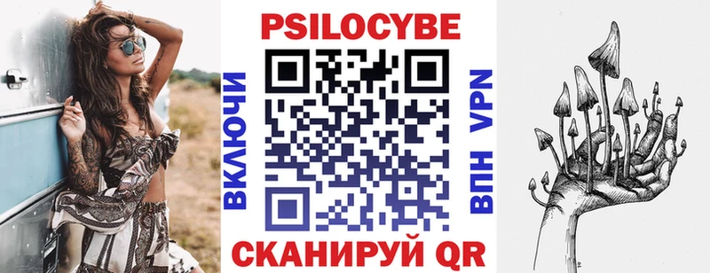 Псилоцибиновые грибы Cubensis  Власиха 